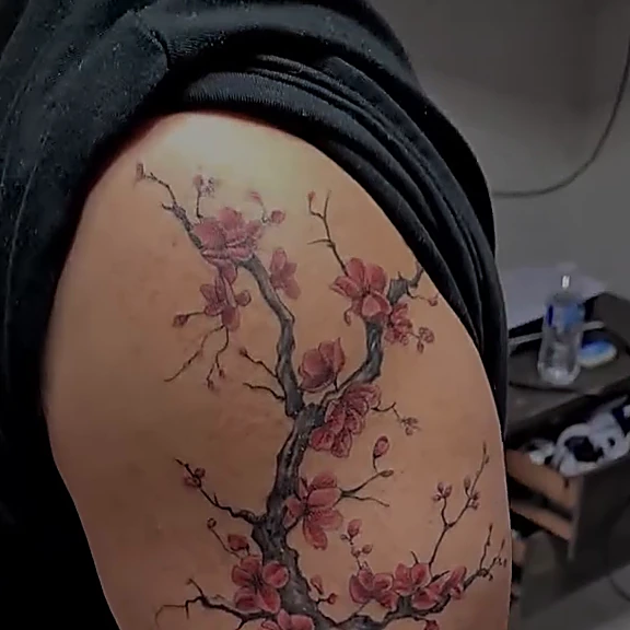 Rama de cerezo con flores rosas, parte de una manga completa, en el hombro